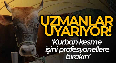 Uzmanlar uyarıyor