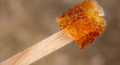 Yüksek antioksidan ve mineral içeriyor! Bir tek ölüme çaresi yok