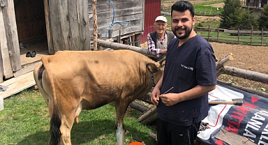 6 bin 103 hayvana suni tohumlama yapıldı