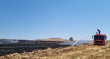 Amasya'da anız yangınında 5 dönüm alan zarar gördü