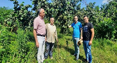 Örnek fındık bahçeleri ziyaret edildi