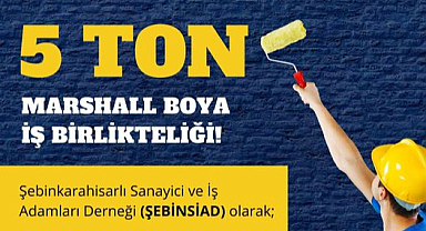 ŞEBİNSİAD Şebinkarahisar’ı Boyadı