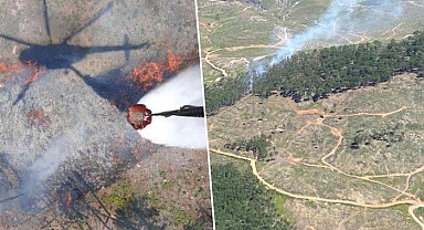 Son dakika... Muğla’da orman yangını
