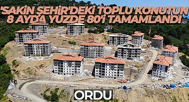 Toplu konutların 8 ayda yüzde 80'i tamamlandı