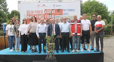 Üreticilere kivi fidanı dağıtıldı