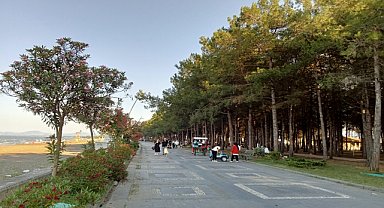 Yeşil ile mavi bir arada