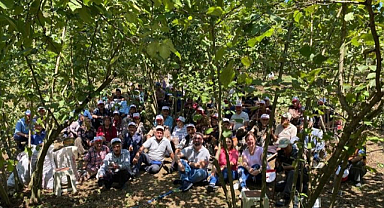 150 dekar alanda organik fındık üretiliyor