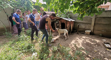 Bakımı yasak hayvanlara el konuldu
