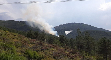 Bolu'da orman yangını