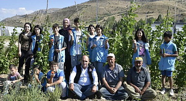 Eko Köyde dalından hasat