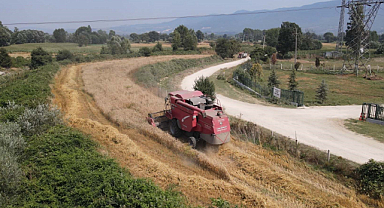 Faydaları saymakla bitmiyor
