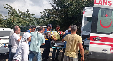 Fındık toplarken yuvarlandı