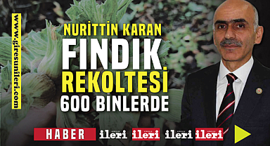 “Fındıkta rekolte 600 bin tonda kalabilir”