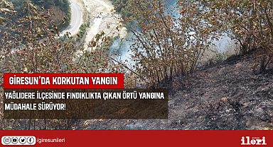 Giresun'da korkutan yangın!