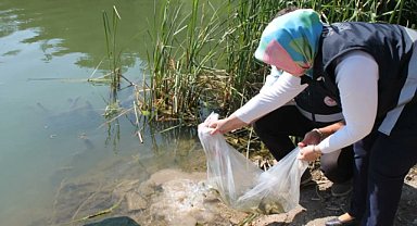 Göllere 35 bin yavru balık bırakıldı