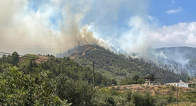 Hatay'da orman yangını!