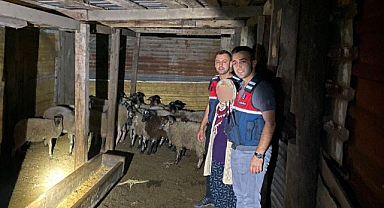 Kayıp küçükbaşları jandarma buldu