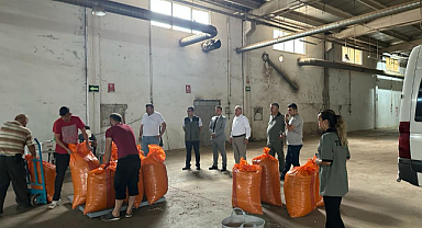 Milletvekili Temür'den emanet fındık uyarısı