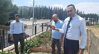 Öğrenciler kendi sebzelerini yetiştiriyor
