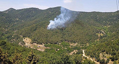 Orman yangını! Ekipler bölgede