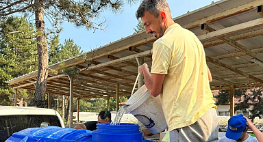 Pullu sazan balığı üretimi sürüyor