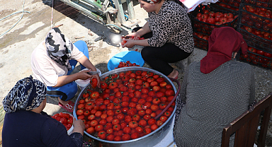 Salça kazanları kaynamaya başladı