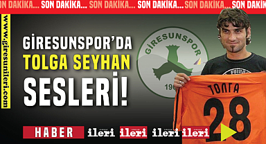 Tolga Seyhan sesleri