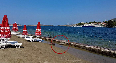 Turistik ilçeyi istila ettiler!