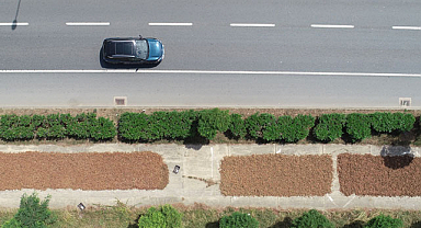 Üreticiler fındık kurutmak için yol kenarlarını seçti