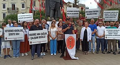 Veteriner hekimler kanuni düzenleme istiyor