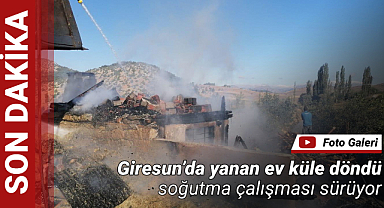 Yangın evi küle çevirdi