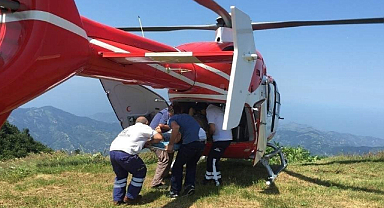 Bu yaz 113 vaka için havalandı