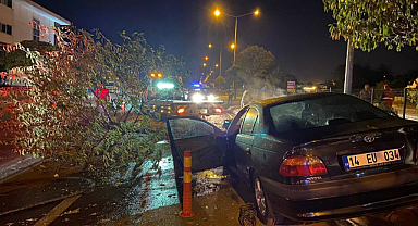 Çarptığı ağaç gövdesinden kırılarak yola devrildi: 1 yaralı