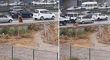 Dehşete düşüren görüntüler! Kadını yol kenarında kemerle dövdü