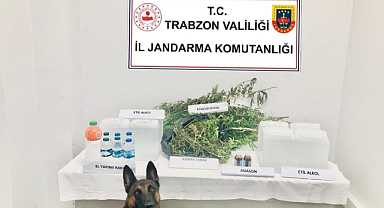 Evinde kenevir yetiştiren şüpheli gözaltında