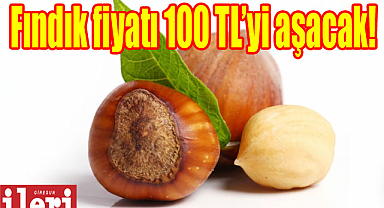 Fındık fiyatı 100 TL'yi aşacak!