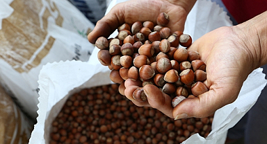 Fındık ihracatı 1 milyar 795 milyon dolara ulaştı