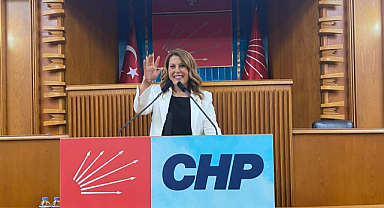 Gezmiş, “Önergelerin takipçisi olacağım”