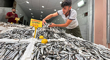 Karadeniz'de hamsi bolluğu
