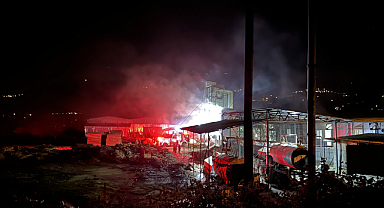 Kereste fabrikasında yangın
