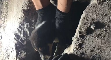 Mahsur kalan köpek yavrusu kurtarıldı