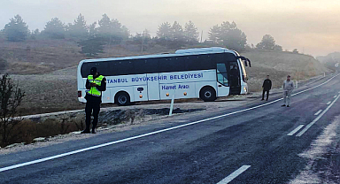 Otobüs yola çıkan domuza çarptı
