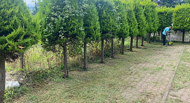 Sonbahar çalışmaları başladı