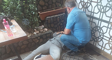 Tartışıp yumrukla bayılttı