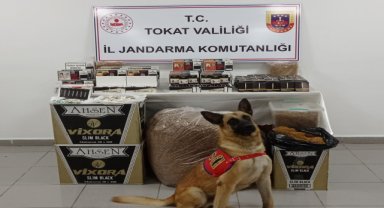 Tokat'ta 14 bin 680 makaron ele geçirildi