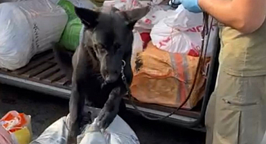 Yolcu otobüsünde 7,5 kilogram uyuşturucu ele geçirildi