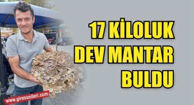 17 kiloluk dev mantar buldu