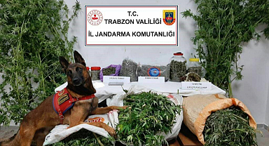 41 kilo uyuşturucu yakalandı