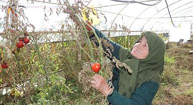 60 yıldır toprakla uğraşıyor, çalışma azmiyle örnek oluyor