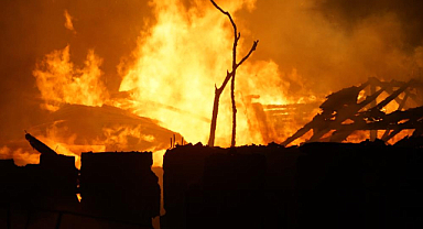 Alevler geceyi aydınlattı: 2 ev ve 22 büyükbaş hayvan yandı